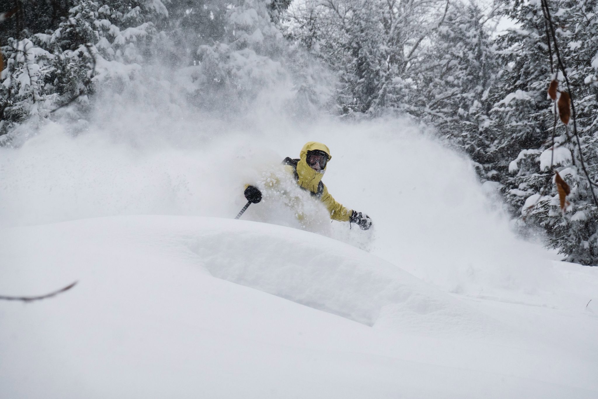 36fbd231-0a7b-49f2-99b2-b6f737207e4e