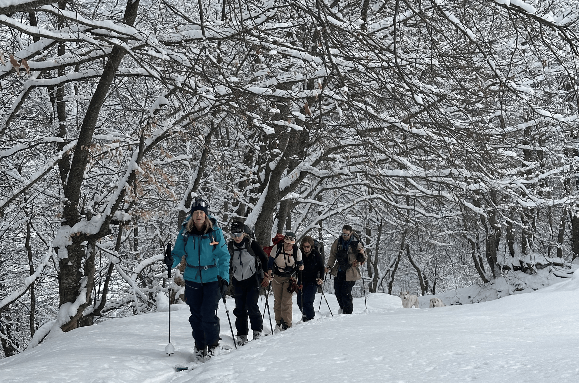 gudauri-ski-touring_(3)